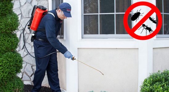 Abana Kene İlaçlama böcek ilaçlama ve haşere kontrolü — ilaclama-tr.com